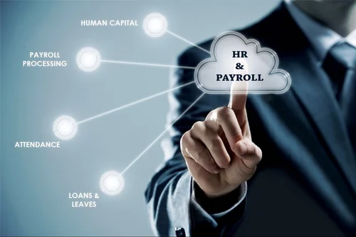 VigoraX Global HR and Payroll Services